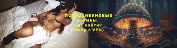 apvp Краснотурьинск