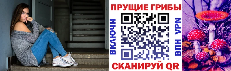 Псилоцибиновые грибы мицелий  мега ССЫЛКА  Ахтырский 