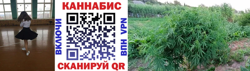 Шишки марихуана OG Kush  Ахтырский 